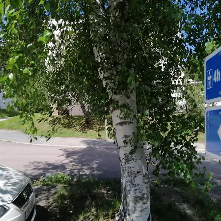 Laajavuoren Majapaikka — In Laajavuori Jyväskylä